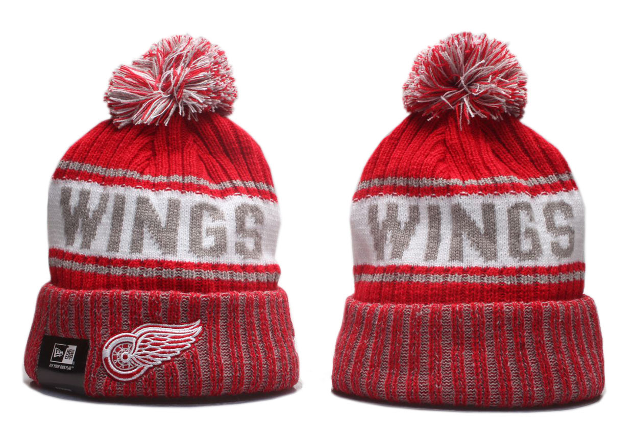 2023 NHL Beanies27->detroit red wings->NHL Jersey